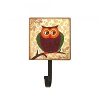 #10015404 RETRO OWL WALL HOOK